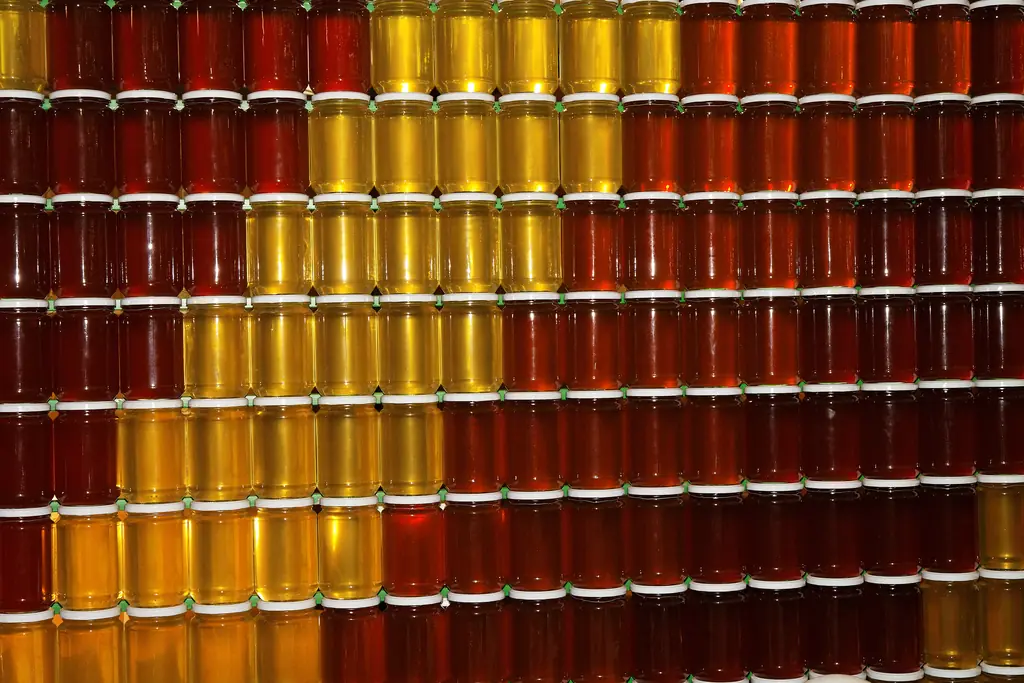 Rows of small unlabeled jars of honey in pale yellow, amber, and dark red-brown, stacked side by side.